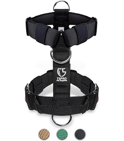 Petmolico No Pull Hundegeschirr & Leine Set – Mit 4 Befestigungen, Gepolstert, Reflektierend, Größe XS