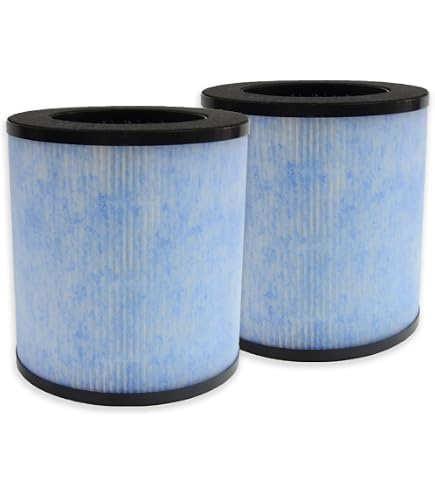 PUREBURG filtro HEPA di ricambio compatibile con purificatore d'aria Grundig TL2713 e AirExpect AirExtend JL-AP-TB01, carbone attivo di filtrazione a 3 stadi H13, confezione da 2