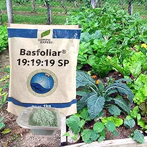 Basfoliar  from Germany 19:19:19 NPK Water Soluble Fertilizer Cum Plant Feed with Micronutrients - 1 Kg
