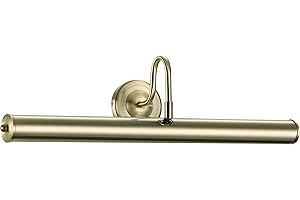 LIGHTS4LIVING Traditional Style Antique Brass Swan Neck Adjustable Picture Light - LED Compatible (24")