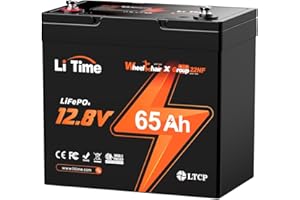 Litime 12V 65Ah LiFePO4 Batterie Groupe 22NF, 12.8 volt Batterie au Lithium BMS 65A, Protection contre les basses températures, pour Moteur à la traîne, Camping
