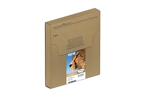Epson EasyMail Multipack T0715 Guépard, Cartouches d'encre d'origine, 4 couleurs: Noir, Cyan, Magenta, Jaune, Format boite aux lettres, D78 D120 DX5000 DX8400 S20 SX100 SX200 SX210 SX400 BX300F B40W