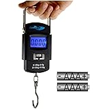 یوپی میں سال 2022 کے, انتہائی اہم اسمبلی ,انتخابات کے ,پیش نظر الیکشن کمیشن آف انڈیا,Assembly Election-2022: Election Commission begins preparations