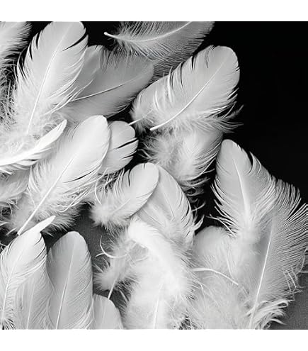 400 Plumes Blanches Naturelles - Plumes D'Oie Pour DIY, Déco Et Création | 5-8cm | Attrape-Rêves, Mariage, Fête