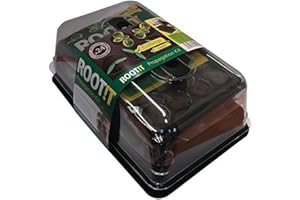 ROOT!T Root IT Professionnel