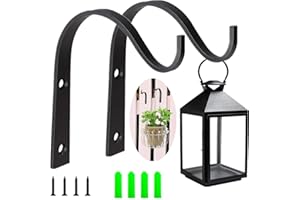 Lenxnmy Support mural pour plantes - Support mural en fer - Pour vase, mangeoire à oiseaux, plante (10,1 cm)