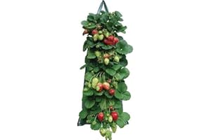 DUBBULON Sac De Plantation pour Fraise - Sacs Verticale Tomates | Sacs De Culture À Fraises Suspendu Jardin | Système Culture Tomates D'intérieur Vertical | Sac De Plantation pour Fraises, Herbes, Tomates