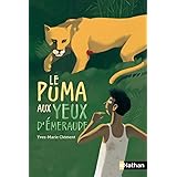 Amazon Fr Chat Noir 2 Le Naufrage De L Ile Maudite Folio Junior A Partir De 9 Ans Darko Yann Livres