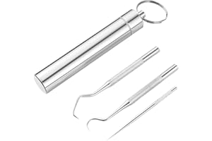 Milisten 3 szt. wykałaczki ze stali nierdzewnej do czyszczenia zębów hak skrobak przenośna wykałaczka z pudełkiem na klucze do podróży w domu