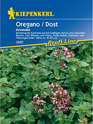 Kiepenkerl Majoran Mehrjährig Aromata