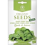 Riesen-Winterspinat, zertifizierte biologische Samen von Minigarden, enthält ungefähr 800 Samen