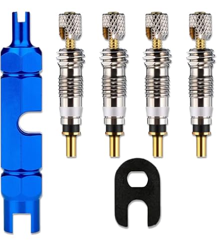 Kit De Remplacement De Valve De Sclaverand, CTRICALVER Valve Presta Insert De Valve Bouchon De
