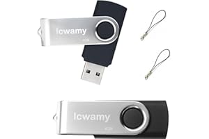 lcwamy 4GB USB Flash Drives 2 Pack Bulk USB2.0 Flash Drive 4GB Twister USB Stick Thumb Drive 2 Pack