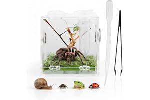VILLCASE Acryl Reptile Fütterungsbox, Springspinne Terrarium, Transparentes Spinnen Terrarium Mit Pipette & Zange, Platzsparende Insekten Transportbox für Sprungspinnen Und Kleine Haustiere