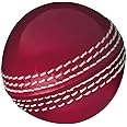 Gunn & Moore GM Cricket Training Ball, Skills Ball