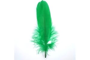 GENERIC Natürliche Federn Gänsefedern, ca. 15-20 cm, 10 Stück, Grün - Kopper-24 Gans Schwanzfedern Schmuck Dekoration Bastelfedern für Hochzeit Karneval Party Deko Kostüme Natur Basteln
