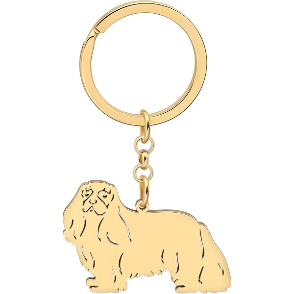 Carta da Parati Cavalier king charles spaniel cane ritratto