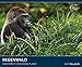 REGENWALD 2017: Der Grüne Planet - Rainforest - Naturschutz-Kalender 60 x 50 cm mit Spende by 