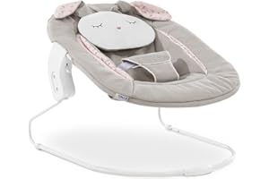 hauck Alpha 2en1 Hamaca Trona para Recién Nacidos, Compatible con Tronas hauck Alpha Plus y Beta Plus, Hamaquita Bebe Trona, desde 0 Meses hasta 9 kg, con Cojín Reductor, Color
