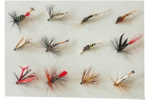 WURMBADEN 12 Nassfliegen Angel Set Fliegenset Forellenköder gebundene Fliegen Forellen Köder Kunstköder Trout Lure