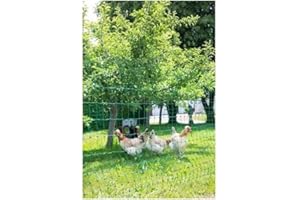 KERBL HOBBYFARMING Kerbl Geflügelnetz PoultryNet 25 mtr., 106 cm Doppelspitze, grün, nicht elektrifizierbar 292279