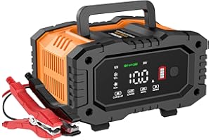 NEXPEAK Caricabatterie Intelligente 10A, Caricabatterie per Auto LiFePO4 12V 24V, Mantenitore Automatico della Batteria con Compensazione della Temperatura per Auto Moto Camion, AGM, Gel, Bagnato, SLA