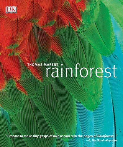 Rainforest livre