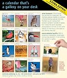 Image de Audubon Birds 2015 Gallery Calendar