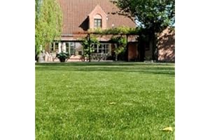 ARK MAT 4m x 1m | Artificial Grass Natural and Realistic Looking Fake Lawn Astro Turf | 7mm, 20mm, 30mm, 35mm, 40mm Thick (30mm - Oaks)