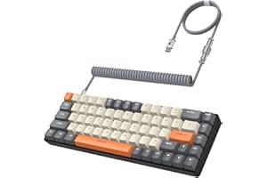 ZIYOU LANG RK-T8 Wired 65% Mechanical Gaming Keyboard with RGB LED Backlit Anti-ghosting TKL Mini 68 Key Custom Coiled C to A Cable Tactile Blue Switch for PS4 PS5 Xbox PC Mac Gamer(Dark Gray/White)