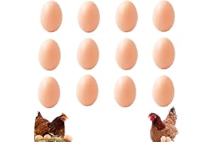 JISRKP 12 Pcs Fake Eggs, Artificial Plastic Eggs for Kids, Easter Eggs for Kids, Rubber Egg for Crafts Arts Imitation Dummy Eggs, Helps Encourage Laying or Prevent Eating Eggs, Craft and Home Decoration
