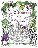 Image de Das Geheimnis des Waldes: Suche die verborgenen Schmuckstücke. Ein Ausmalbuch für Erwachsene