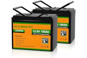 ECO-WORTHY LiFePO4 akumulator litowy 12 V, 200 Ah, 12 V, z ponad 4000 cyklami głębokich i ochroną BMS, do kamperów, instalacji solarnych, zestawu paneli słonecznych i łodzi (2 sztuki LiFePO4 100 Ah)