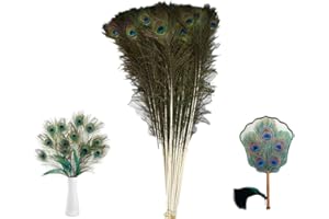 SMTCM Lot de 5 plumes de paon naturelles longues 80 à 90 cm - Véritables plumes de queue de paon colorées - Costume de paon naturel - Décoration pour vase, bricolage, mariage, fête (blanc)