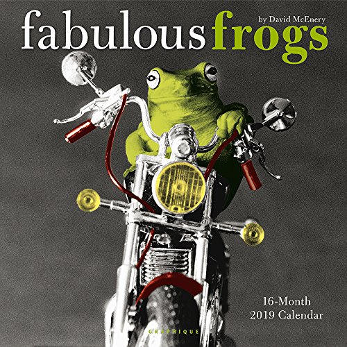 Download Fabulous Frogs 2019 Calendar