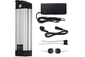 HANERIDE Batteria per bicicletta elettrica 36 V 15,6 Ah 577 Wh XH 370-10J Pedelec Silverfish con connettore USB per bici elettrica MiFa Prophete Rex Aldi