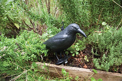 Esschert Design Vogelschreck Krähe, schwarz, 12.9 x 36.2 x 22.2, FY18 - 2