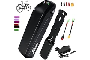 Adaluolo Batería Bicicleta Eléctrica 36V 10AH Batería Ebike Hailong Batería Lones Litio Bicicleta Electrica con Cargador, 4 Pin Placa Base para 100W-750W Motor