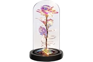 Ewige Rose im Glas mit Licht,ELEUTH Schöne und Das Biest Rose Geschenke für Freundin Konservierte Rose,Infinity Rose Geburtstagsgeschenk für frauen/Jahrestag/Valentinstag/Muttertagsgeschenke für mama