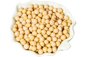 CAPACITEA 1kg SOYA Beans Lactose free High Protein