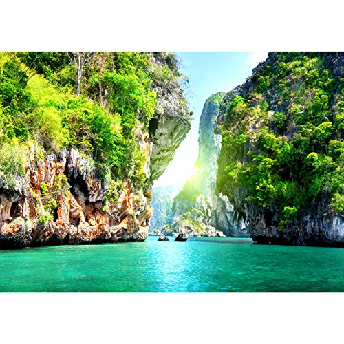 Fototapete Paradise 308 x 220 cm – Vliestapete – Wandtapete – Vlies Phototapete – Wand – Wandbilder XXL – !!! 100% MADE IN GERMANY !!! Runa Tapete 9011010b - 6