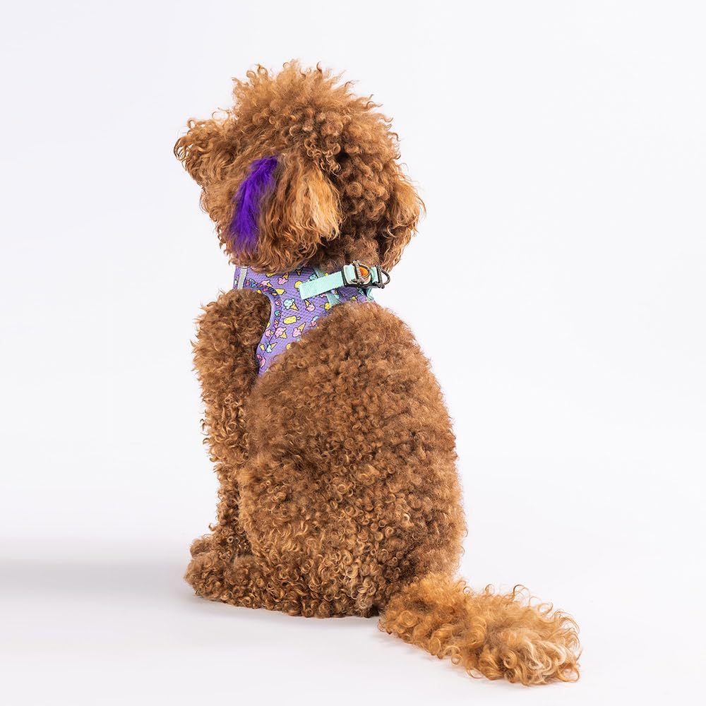 Pawstar Air-Mesh Poodle Köpek Göğüs Tasması (S) - Görsel 4