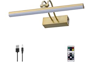 RAIFOOLLY Picture Lights for Wall,Battery Painting Light with Remote Dimmable and Timer, 2 Lighting Modes Art Display Light, Wall Decorative Lighting for Canvas, Portrait,Frame