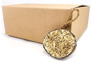 CHUBBY PET PRODUCTS Chubby Suet Filled Coconuts Bird Feeder Halves 2Kg, Coconut Halves for Wild Birds, Coconut Shell Suet Birds Food, Protein Rich Suet for Blackbirds, Woodpeckers, Starlings & Sparrows - Pack of 10