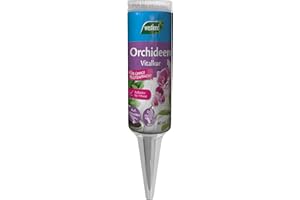 Westland Orchideen Vitalkur, 40 ml – Pflanzendünger für gesundes Wachstum und Blüte, gebrauchsfertiger Flüssigdünger für einen Monat