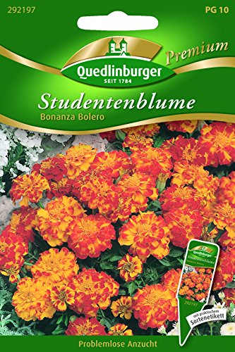 Preisvergleich Produktbild Studentenblumen Bonanza Bolero QLB Premium Saatgut Studentenblumen