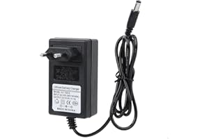 Ejoyous Ładowarka do pistoletu do masażu, adapter do pistoletu do masażu, uniwersalny kabel zasilający do pistoletu do masażu (rozporządzenie europejskie 16,8 V)