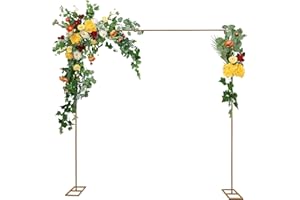 AOOUNGM Arche de Mariage en Métal - Arche carrée Hauteur Réglable - Fleur Arche de Jardin avec Base Large pour Fête Noces/Anniversaire/Baptême - 3x3m