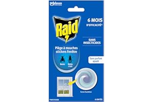 Raid Piège à Mouches - Sans Insecticides - Jusqu'à 6 Mois d'Efficacité - Sans Parfum Ajouté - 6 Pièges