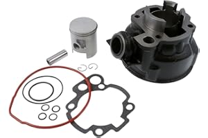 2EXTREME Zylinder + Kolben 50ccm kompatibel für BETA RR 50 AM6, RIEJU MRX 50, RR 50 AM6, RR 50 ALU AM6, Spike 2 50 AM6, RS-1 Evolution, RS-2 50 AM6, MOTORHISPANIA RX 50 AM6, SMX 50 AM6